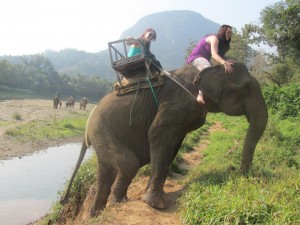 Kristina Looking Nervous on Elephant