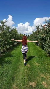 Apple Fields Forever at Jonomac Orchard in Malta, IL