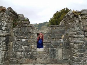 At the Priest's House in Glendalough