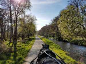 Taking a "jaunting car ride" through Killarney National Park