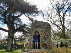 The Castle Grounds at Blarney