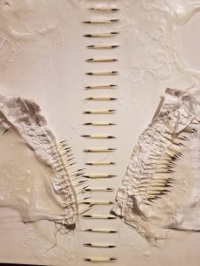 Nancy Burnham's Corset series, at Fairbanks Art Association